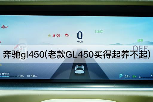 奔驰gl450(老款GL450买得起养不起)