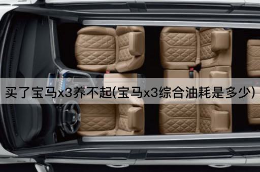 买了宝马x3养不起(宝马x3综合油耗是多少)