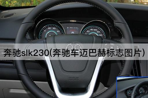 奔驰slk230(奔驰车迈巴赫标志图片)
