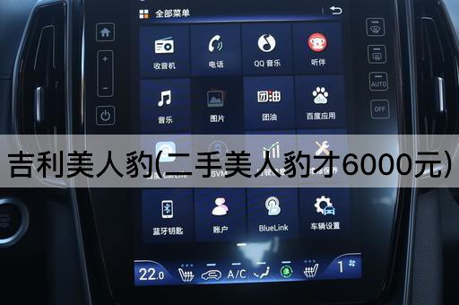 吉利美人豹(二手美人豹才6000元)