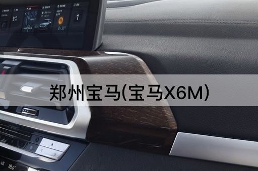 郑州宝马(宝马X6M)