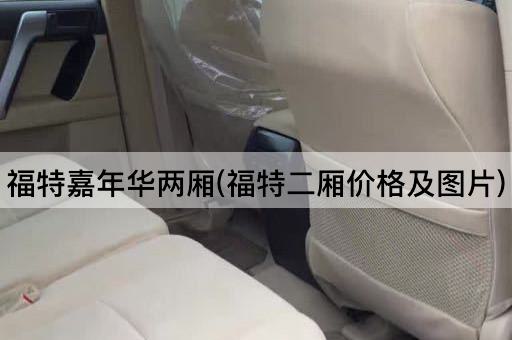福特嘉年华两厢(福特二厢价格及图片)