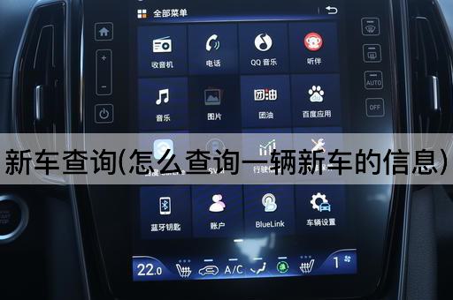 新车查询(怎么查询一辆新车的信息)