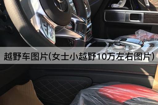 越野车图片(女士小越野10万左右图片)