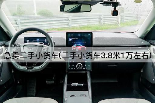 急卖二手小货车(二手小货车3.8米1万左右)