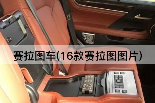 赛拉图车(16款赛拉图图片)