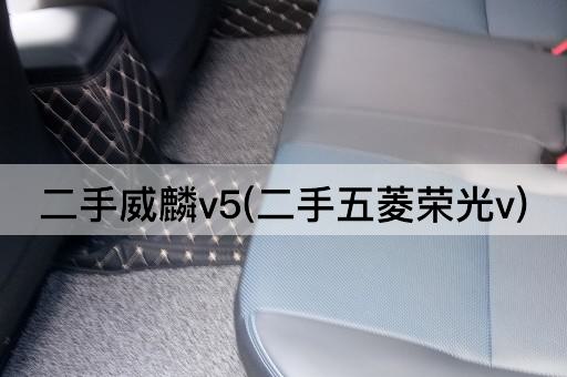 二手威麟v5(二手五菱荣光v)
