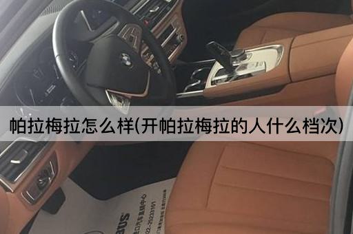 帕拉梅拉怎么样(开帕拉梅拉的人什么档次)