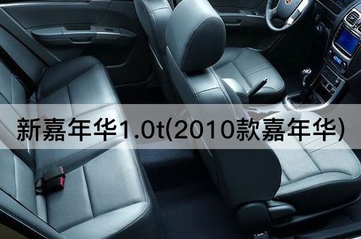 新嘉年华1.0t(2010款嘉年华)