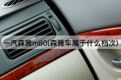一汽森雅m80(森雅车属于什么档次)