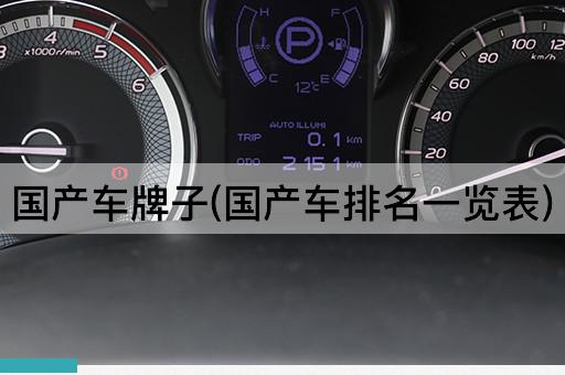 国产车牌子(国产车排名一览表)