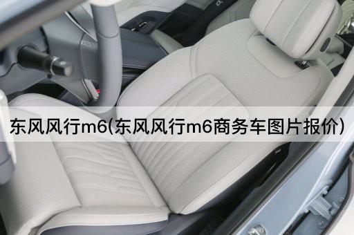 东风风行m6(东风风行m6商务车图片报价)