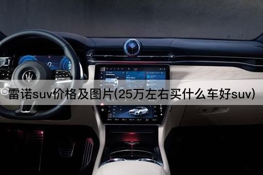 雷诺suv价格及图片(25万左右买什么车好suv)