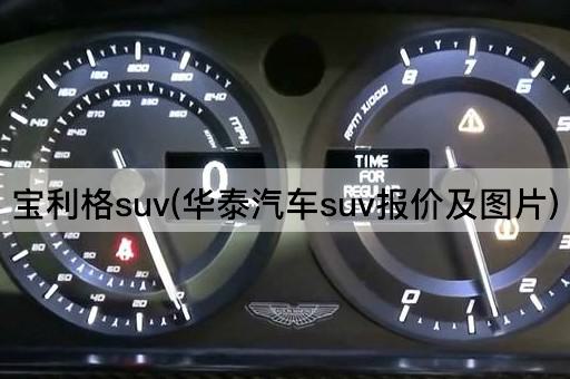 宝利格suv(华泰汽车suv报价及图片)