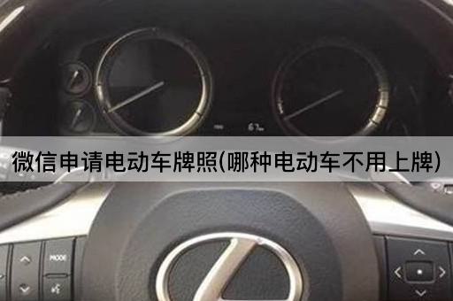 微信申请电动车牌照(哪种电动车不用上牌)