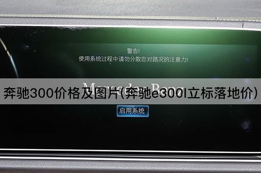 奔驰300价格及图片(奔驰e300l立标落地价)