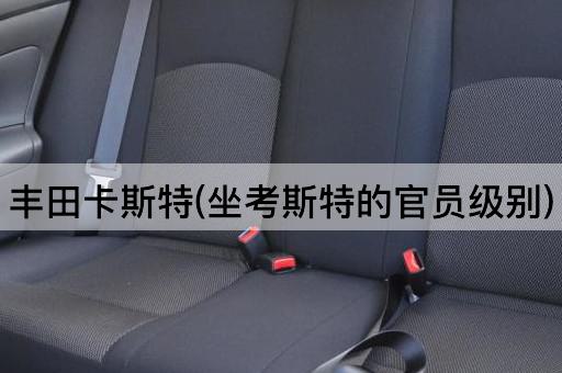 丰田卡斯特(坐考斯特的官员级别)