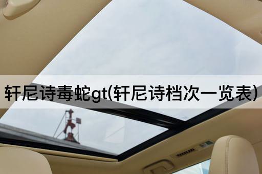 轩尼诗毒蛇gt(轩尼诗档次一览表)