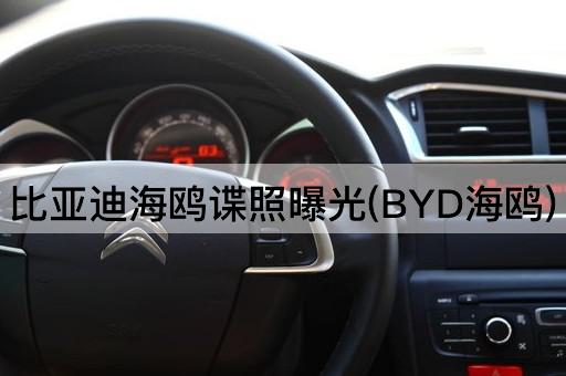 比亚迪海鸥谍照曝光(BYD海鸥)