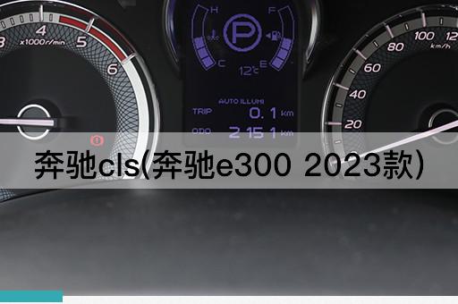 奔驰cls(奔驰e300 2023款)