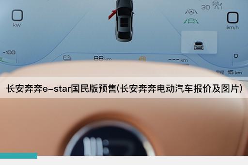 长安奔奔e-star国民版预售(长安奔奔电动汽车报价及图片)