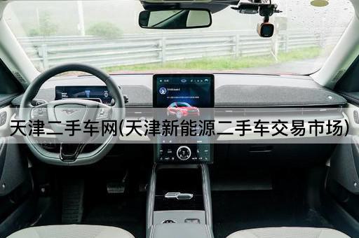 天津二手车网(天津新能源二手车交易市场)