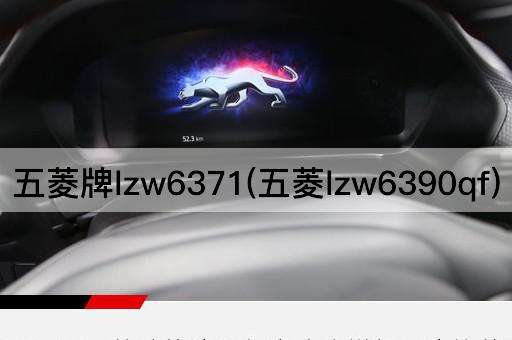 五菱牌lzw6371(五菱lzw6390qf)