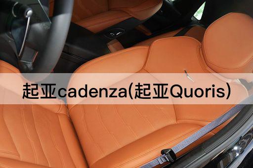 起亚cadenza(起亚Quoris)