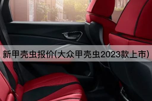 新甲壳虫报价(大众甲壳虫2023款上市)