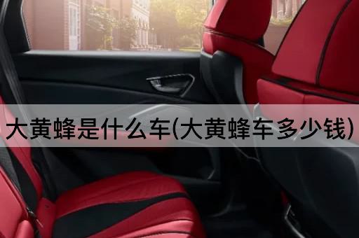 大黄蜂是什么车(大黄蜂车多少钱)