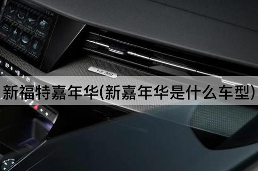 新福特嘉年华(新嘉年华是什么车型)