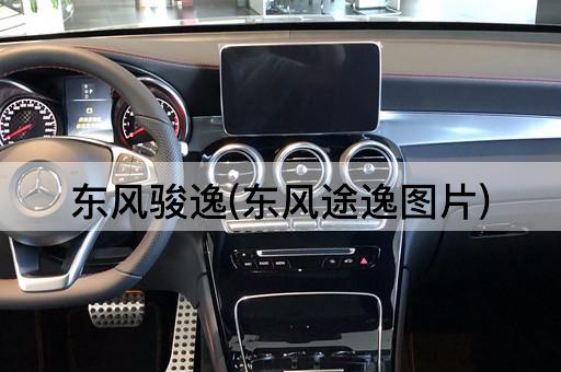 东风骏逸(东风途逸图片)