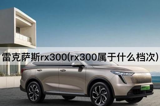 雷克萨斯rx300(rx300属于什么档次)