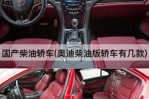 国产柴油轿车(奥迪柴油版轿车有几款)