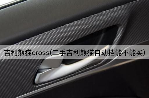 吉利熊猫cross(二手吉利熊猫自动挡能不能买)