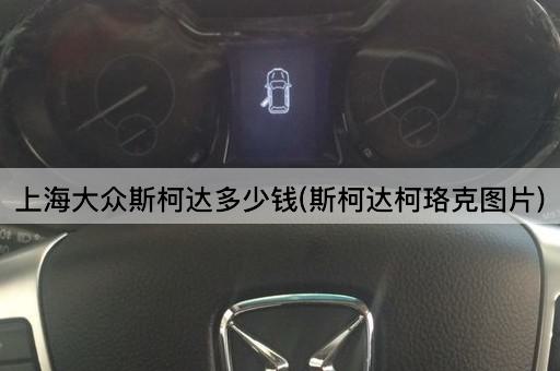 上海大众斯柯达多少钱(斯柯达柯珞克图片)