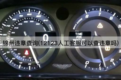 锦州违章查询(12123人工客服可以查违章吗)