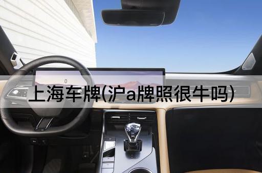 上海车牌(沪a牌照很牛吗)