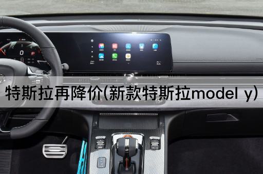 特斯拉再降价(新款特斯拉model y)