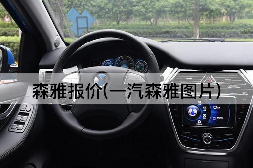 森雅报价(一汽森雅图片)