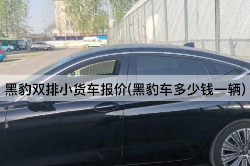 黑豹双排小货车报价(黑豹车多少钱一辆)