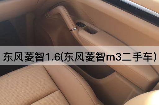 东风菱智1.6(东风菱智m3二手车)