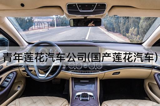 青年莲花汽车公司(国产莲花汽车)