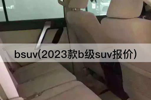 bsuv(2023款b级suv报价)