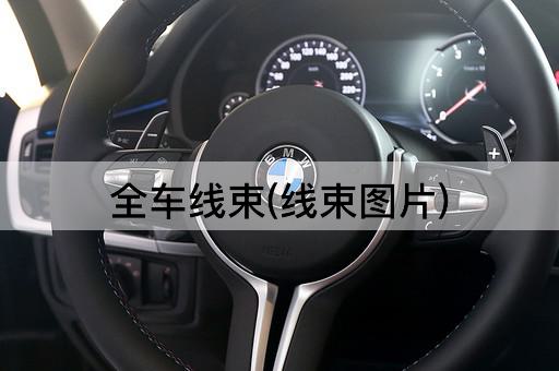 全车线束(线束图片)