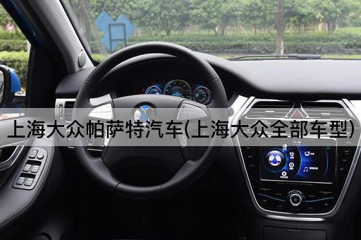 上海大众帕萨特汽车(上海大众全部车型)