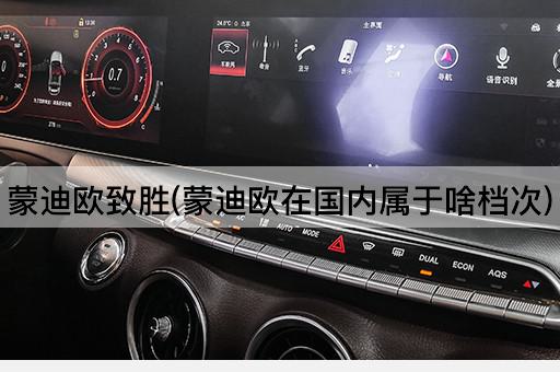 蒙迪欧致胜(蒙迪欧在国内属于啥档次)