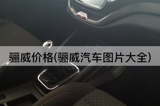 骊威价格(骊威汽车图片大全)