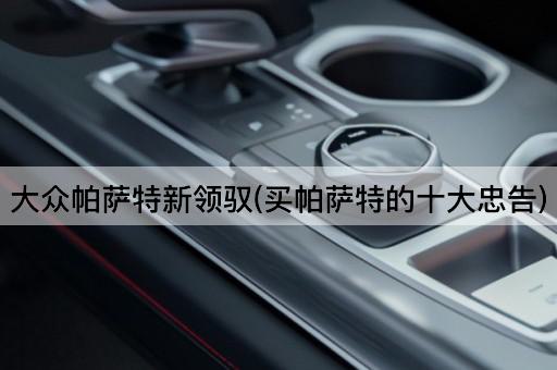大众帕萨特新领驭(买帕萨特的十大忠告)