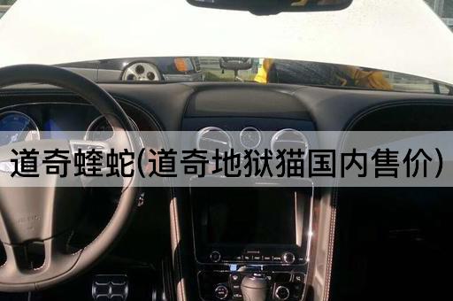 道奇蝰蛇(道奇地狱猫国内售价)